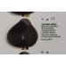 HAIR CC CREAM