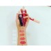 PURE BEAUTY AQUA LIP STAIN