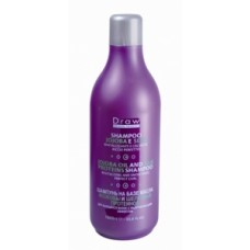 SHAMPOO JOJOBA E SETA RIVITALIZZANTE E LISCIANTE RICCIO PERFETTO